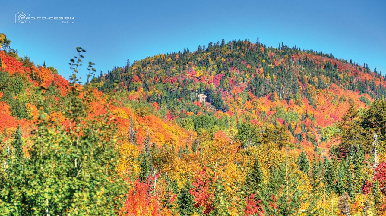Le St Bernard - Les Chalets Spa Canada La Malbaie Exterior foto